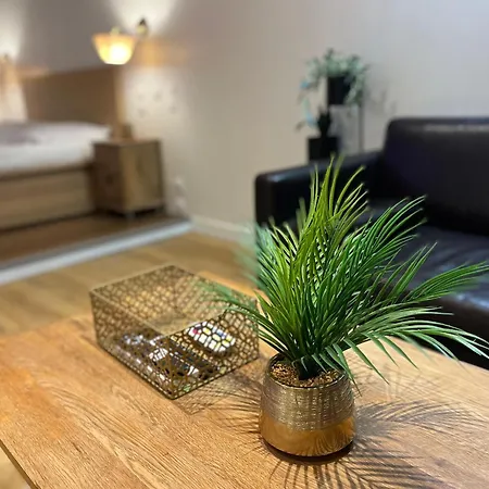 La Serenita - Jacuzzi - Clim - Wifi - Topprosconciergerie Διαμέρισμα Saint-Georges-dʼOrques